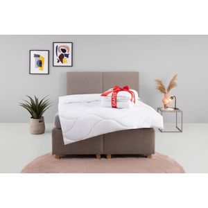 my home Microfaserbettdecke "Caelan, kaufe eine Decke - erhalte die Leichtbettdecke gratis dazu", normal, Füllung 100% Polyester, Bezug 100% Polyester, (1 St.), Bettdecke 135x200 cm und 155x220 cm, Sommer, Winter