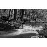 Papermoon Fototapete "Wasserfall Schwarz & Weiß"