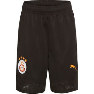 PUMA Trainingsshorts "GSK TRAINING SHORTS", Galatasaray Istanbul Shorts 2024/2025