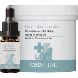 CBD VET Gewrichten-Box Premium voor Honden - 1 box