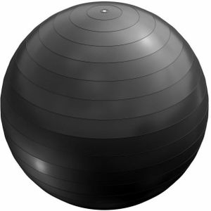 Fitnessbal Zwart 75 cm incl. pomp