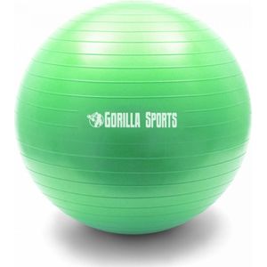 Gymbal met balpomp - 65 cm