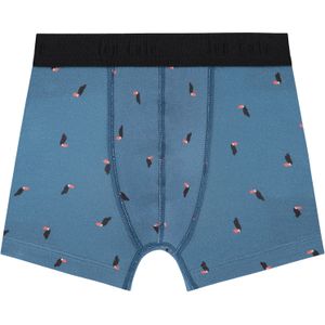 shorts toucan