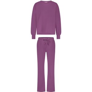 Lounge pak purple orchid