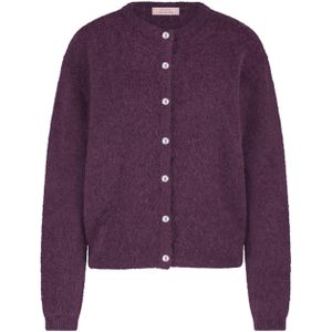 Studio Anneloes Dames vest paars (Maat: L) - Effen - Halslijn: Ronde hals,