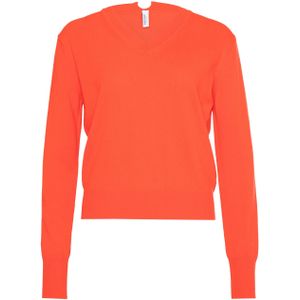 Babiche Dames trui oranje (Maat: M) - Effen - Halslijn: V-hals,