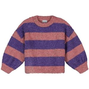 Daily Brat Trui roze (Maat: 110) - Glitter - Halslijn: Ronde hals,