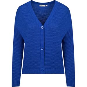 Bicalla Vest blauw (Maat: M) - Effen - Halslijn: V-hals,