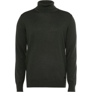 Born with appetite Heren coltrui groen (Maat: S) - Effen - Halslijn: Col,