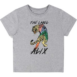 Alix mini T-shirt  grijs (Maat: 104) - Fotoprint - Halslijn: Ronde hals,
