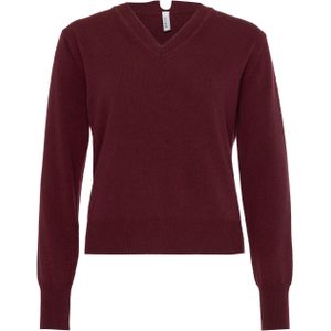 Babiche Trui bordeaux (Maat: S) - Effen - Halslijn: V-hals,