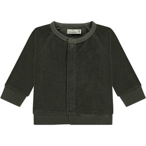 A Tiny Story - Vest - Groen - Badstof - Effen