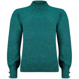 Roberto Sarto Dames trui groen (Maat: 40) - Effen - Halslijn: Opstaande kraag,