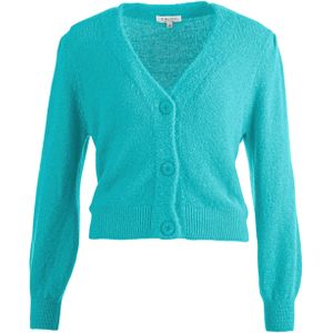 Enjoy Vest blauw (Maat: L) - Effen - Halslijn: V-hals,