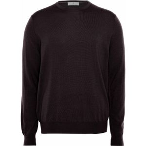 Thomas Maine Heren trui bruin (Maat: M) - Halslijn: Ronde hals,