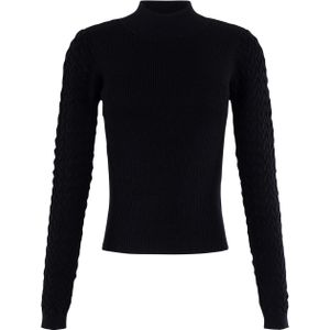 Anna - Trui - Zwart - Turtleneck - Glitters