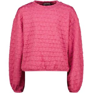 Raizzed Meisjes longsleeve roze (Maat: 140) - Effen - Halslijn: Ronde hals,