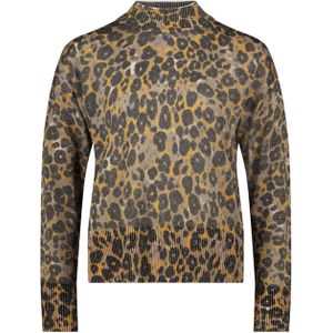 Betty Barclay, Dames, Truien, Veelkleurig, Maat: S