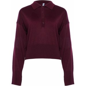 Babiche Trui bordeaux (Maat: M) - Effen - Halslijn: Polokraag,