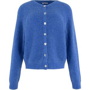 Anna Vest blauw (Maat: XL) - Effen - Halslijn: Ronde hals,