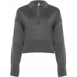 Babiche Dames trui grijs (Maat: L) - Effen - Halslijn: Polokraag,