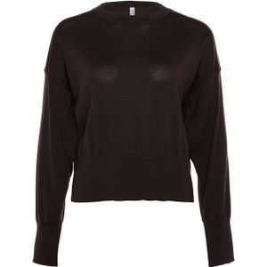 Babiche Dames trui bruin (Maat: L) - Halslijn: Ronde hals,