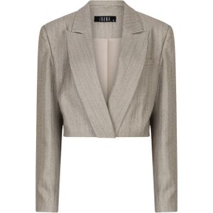Ibana Blazer grijs (Maat: 38) - Streep