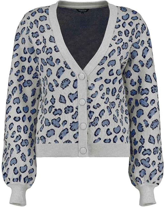 Bloomings - Vest - Zilver - V-hals - Leopard
