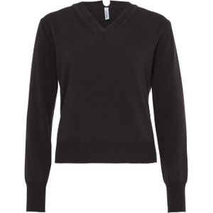 Babiche Dames trui bruin (Maat: L) - Effen - Halslijn: V-hals,