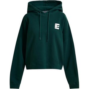 Essentiel Antwerp Trui groen (Maat: 36) - Halslijn: Capuchon,