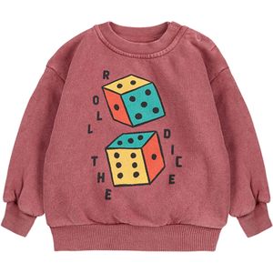 Bobo Choses Trui bruin (Maat: 6M) - Baby