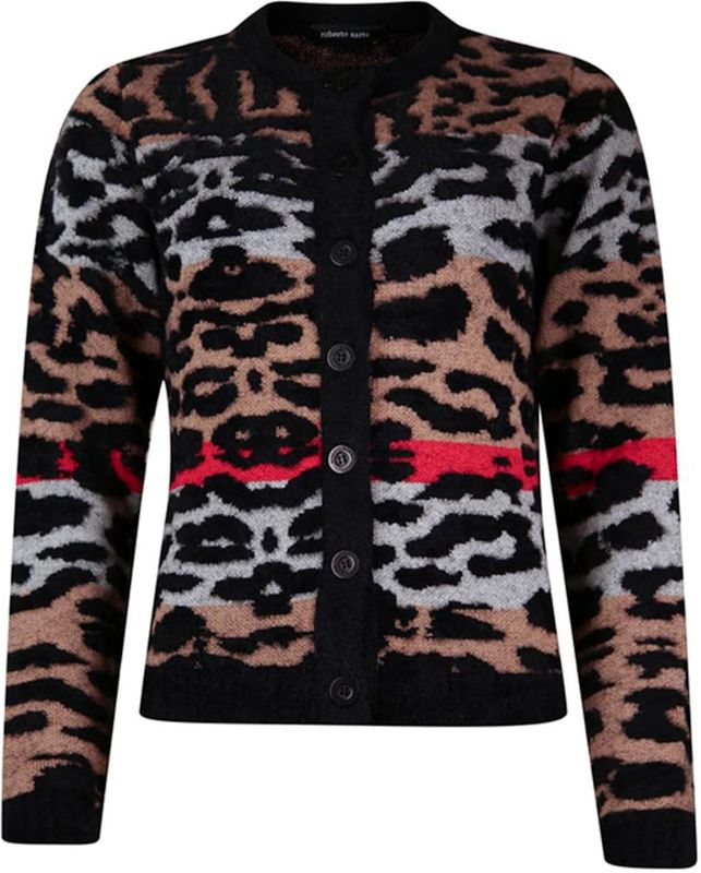 Roberto Sarto - Cardigan - Veelkleurig - Dames