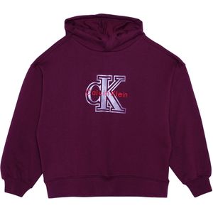 Calvin Klein Ig0ig03068 Hoodie