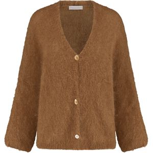 AMAYA Amsterdam - Vest - Bruin