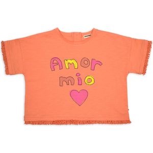 Ammehoela T-Shirt oranje (Maat: 116) - Tekst - Halslijn: Ronde hals,