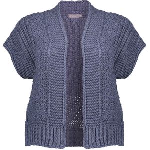 Geisha - Mouwloos Vest - Blauw