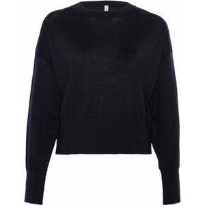 Babiche Dames trui blauw (Maat: L) - Effen - Halslijn: Ronde hals,