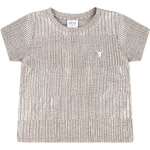 Alix mini T-Shirt zilver (Maat: 104) - Glitter - Halslijn: Ronde hals,