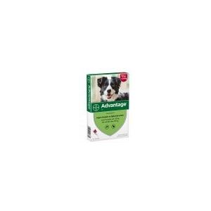 Advantage 250 Hond 10-25 kg - 4 Pipetten