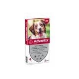 Advantix 250 Spot On 4 Pipet 10-25 kg