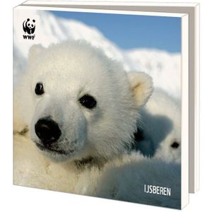 WWF kerstkaartenmapje - IJsberen - 10 vierkante kerstkaarten met envelop