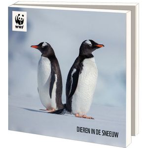 WWF kerstkaartenmapje - Dieren in de sneeuw - 10 vierkante kerstkaarten met envelop