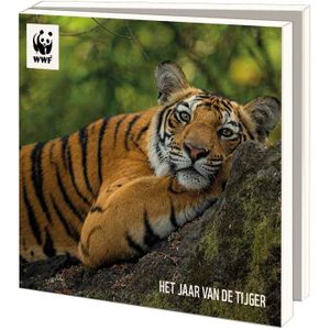 WWF ansichtkaartenmapje - Het jaar van de tijger - 10 vierkante kaarten met envelop