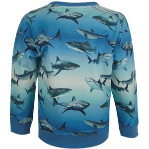 Jongens sweater - Wally-SB-16-C - Blauw
