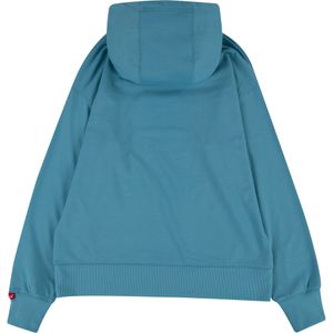 Jongens - Hoodie - Blauw