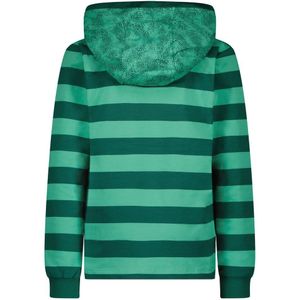 Meisjes hoodie - Winter groen