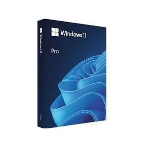 Microsoft Windows 11 Pro