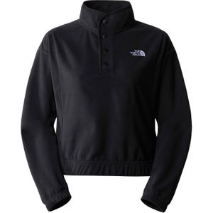 The North Face - Dames sweatshirts en fleeces - W Homesafe Snap Neck Fleece Pullover TNF Black/TNF Black voor Dames - Maat M - Zwart