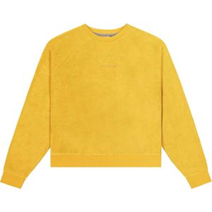 Picture Organic Clothing - Dames sweatshirts en fleeces - Tiloma Crew Spectra Yellow voor Dames van Katoen - Maat S - Geel