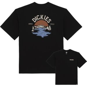 Dickies - T-shirts - Beach Tee SS Black voor Heren van Katoen - Maat L - Zwart